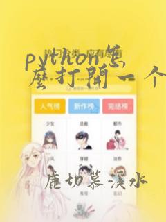 python怎么打开一个文件