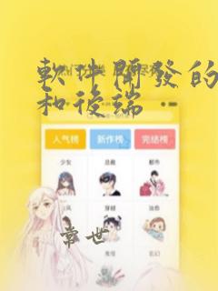 软件开发的前端和后端