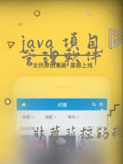 java 项目管理软件