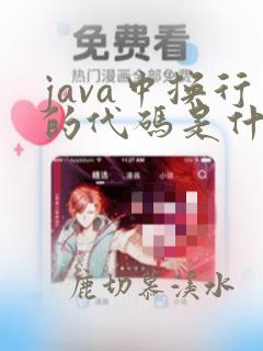 java中换行的代码是什么