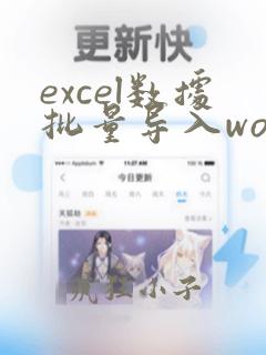excel数据批量导入word指定位置