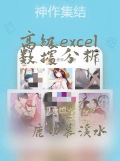 高级excel数据分析