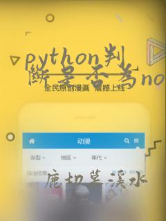 python判断是否为none