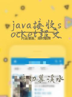 java接收socket报文
