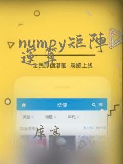 numpy矩阵运算