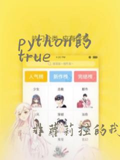 python的true