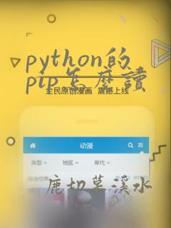 python的pip怎么读