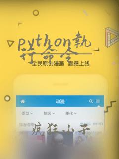 python执行命令