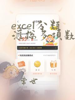 excel分类汇总多项数据