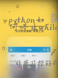 python如何停止while循环
