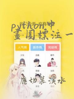 python中画图标注一个点的值