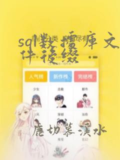 sql数据库文件后缀
