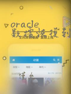 oracle 数据恢复到某一时间点