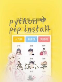 python中pip install