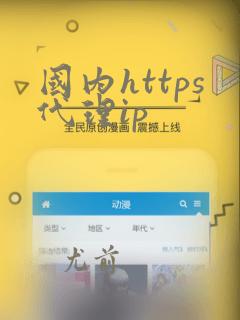 国内https代理ip