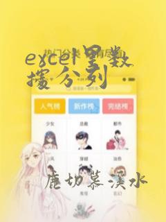 excel里数据分列