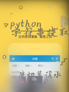 python 字符串提取