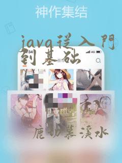java从入门到基础