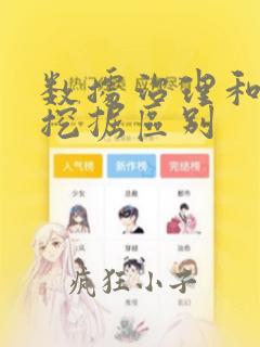 数据治理和数据挖掘区别