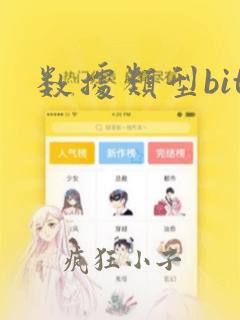 数据类型bit