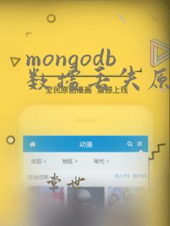 mongodb数据丢失原因