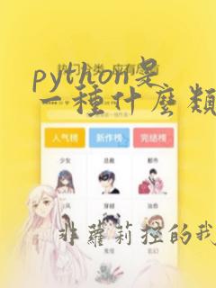 python是一种什么类型