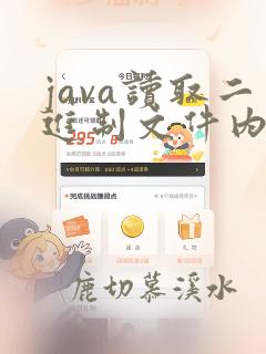 java读取二进制文件内容