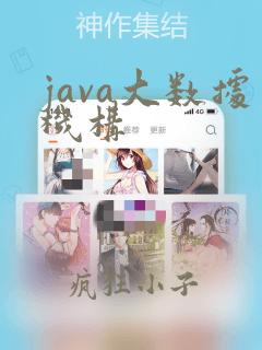 java大数据机构
