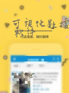 可视化数据分析 软件