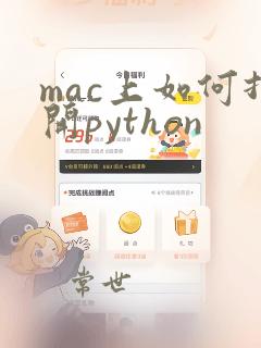 mac上如何打开python