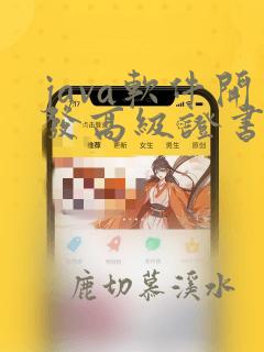 java软件开发高级证书
