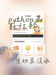 python函数注释