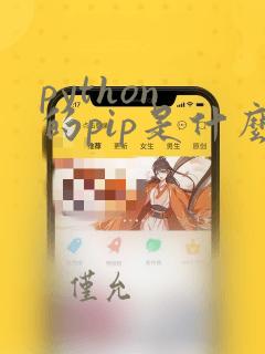 python 的pip是什么