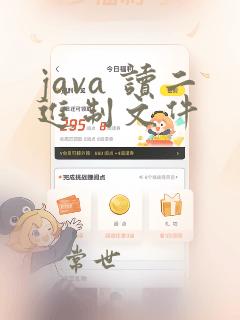 java 读二进制文件
