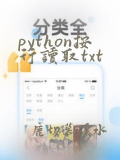 python按行读取txt