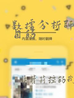 数据分析师实习目的