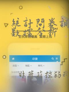 统计问卷调查及数据分析
