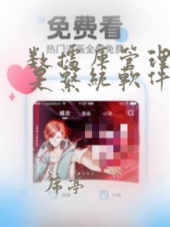 数据库管理系统是系统软件还是应用软件