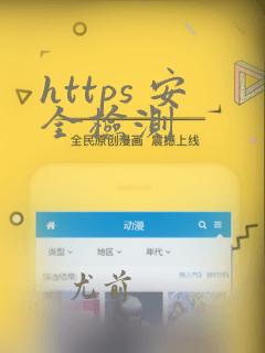 https 安全检测