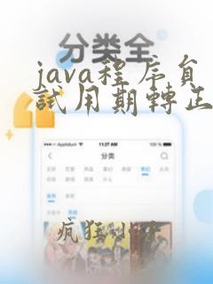 java程序员试用期转正总结