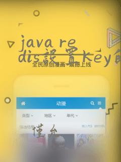 java redis设置key的过期时间