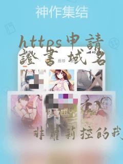 https申请证书 域名