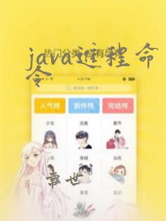 java进程命令