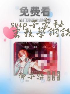 svip子豪秘密教学钢铁网