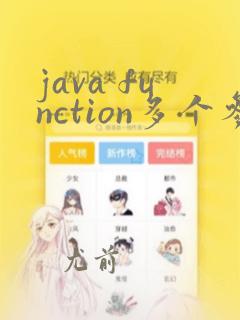 java function多个参数