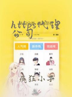 https代理公司