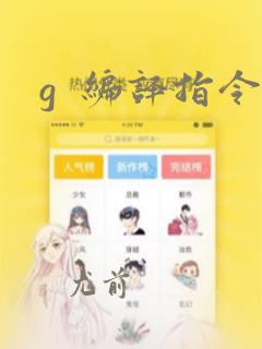 g  编译指令