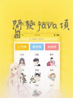 开发java项目