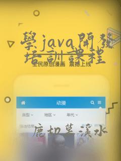 学java开发 培训课程