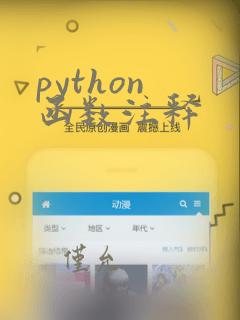 python 函数注释